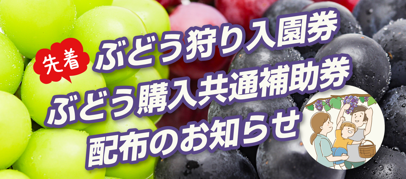 トライ6の日　ぶどう狩り入園券・ぶどう購入共通補助券の配布のお知らせ
